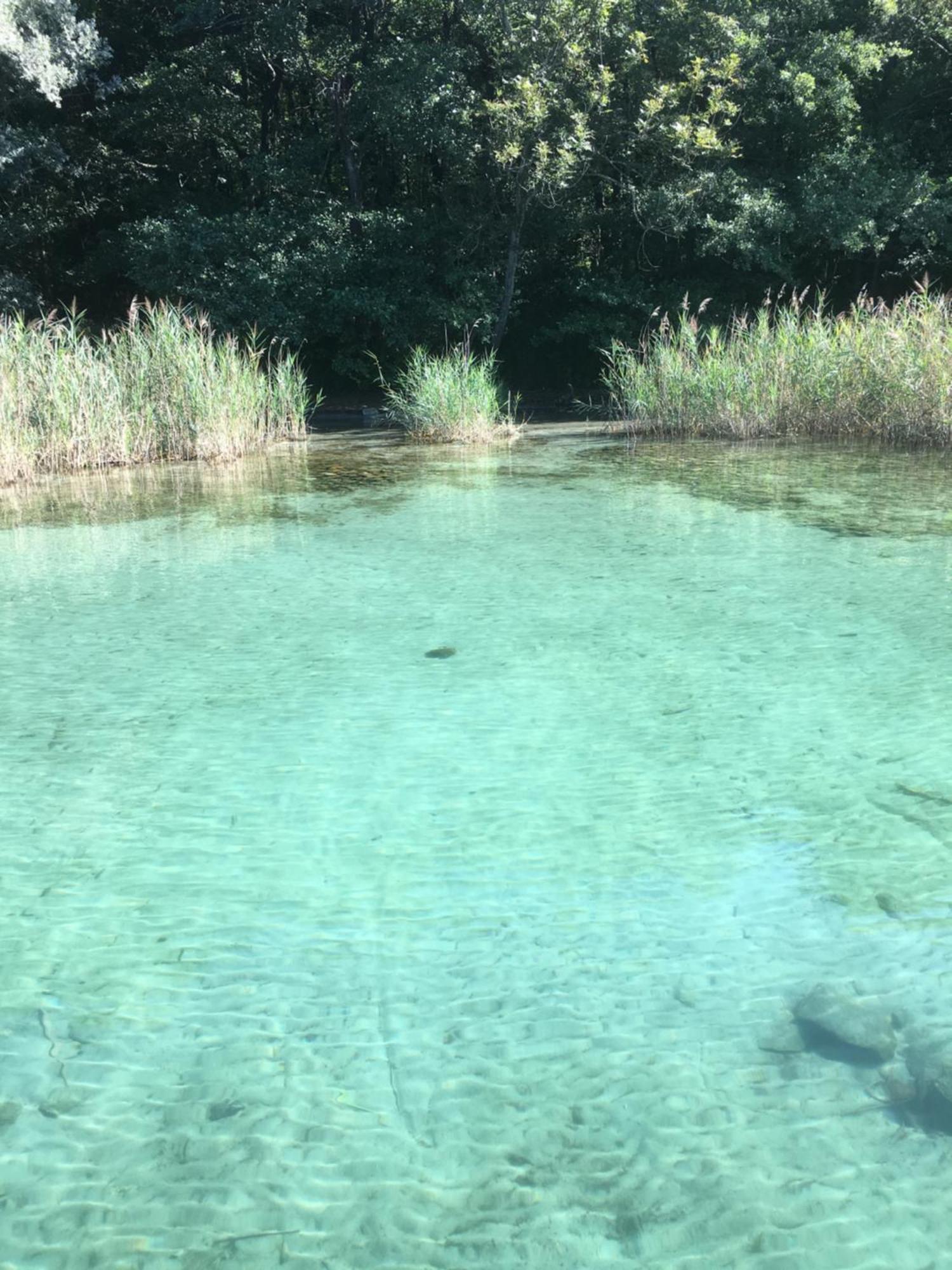 -Ortaflats- Appartamento Gli Archi Orta San Giulio Εξωτερικό φωτογραφία